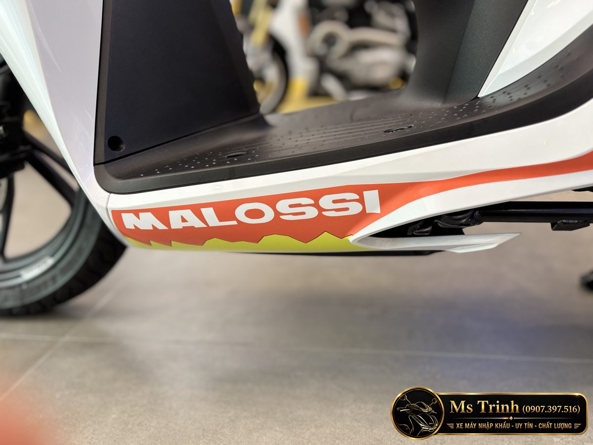 tem Malossi dưới gầm xe