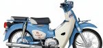 Giá Super Cub 50 Final Edition Mới Nhất: Đánh Giá Chi Tiết Và Nơi Mua Uy Tín