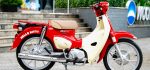 Cub Hello Kitty giới hạn: Biểu tượng “đáng yêu” cho người mê Super Cub và giới sưu tầm
